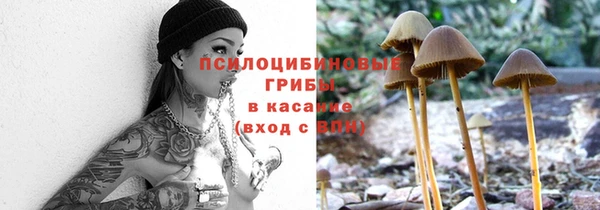 эйфоретик Абинск
